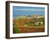 Medieval City of Carcassonne, UNESCO World Heritage Site, Aude, Languedoc-Roussillon, France, Europ-Tuul-Framed Photographic Print