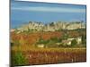 Medieval City of Carcassonne, UNESCO World Heritage Site, Aude, Languedoc-Roussillon, France, Europ-Tuul-Mounted Photographic Print