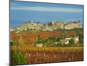 Medieval City of Carcassonne, UNESCO World Heritage Site, Aude, Languedoc-Roussillon, France, Europ-Tuul-Mounted Photographic Print