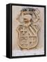 Medieval Coat of Arms, Chateau Carignan, Premieres Cotes De Bordeaux, France-Per Karlsson-Framed Stretched Canvas