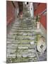 Medieval Cobbled Back Streets of Varenna, Lake Como, Lombardy, Italy, Europe-Peter Barritt-Mounted Photographic Print