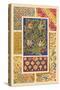 Medieval Design with Flowers-Racinet-Stretched Canvas