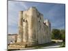 Medieval Donjon in the Centre of Niort, Deux-Sevres, Poitou Charentes, France, Europe-Stuart Hazel-Mounted Photographic Print