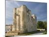 Medieval Donjon in the Centre of Niort, Deux-Sevres, Poitou Charentes, France, Europe-Stuart Hazel-Mounted Photographic Print