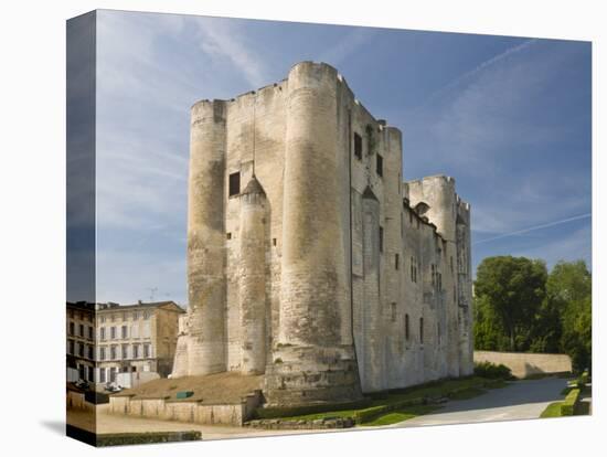 Medieval Donjon in the Centre of Niort, Deux-Sevres, Poitou Charentes, France, Europe-Stuart Hazel-Stretched Canvas