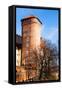 Medieval Gothic Sandomierska and Senatorska Towers at Wawel Castle in Cracow, Poland-Curioso Travel Photography-Framed Stretched Canvas