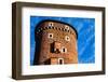 Medieval Gothic Sandomierska and Senatorska Towers at Wawel Castle in Cracow, Poland-Curioso Travel Photography-Framed Photographic Print