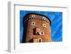 Medieval Gothic Sandomierska and Senatorska Towers at Wawel Castle in Cracow, Poland-Curioso Travel Photography-Framed Photographic Print