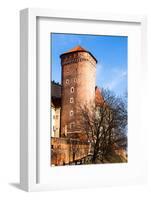 Medieval Gothic Sandomierska and Senatorska Towers at Wawel Castle in Cracow, Poland-Curioso Travel Photography-Framed Photographic Print