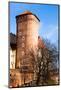 Medieval Gothic Sandomierska and Senatorska Towers at Wawel Castle in Cracow, Poland-Curioso Travel Photography-Mounted Photographic Print