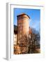 Medieval Gothic Sandomierska and Senatorska Towers at Wawel Castle in Cracow, Poland-Curioso Travel Photography-Framed Photographic Print