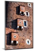 Medieval Gothic Sandomierska and Senatorska Towers at Wawel Castle in Cracow, Poland-Curioso Travel Photography-Mounted Photographic Print