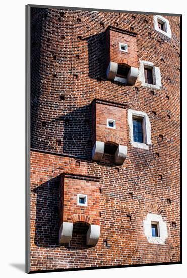 Medieval Gothic Sandomierska and Senatorska Towers at Wawel Castle in Cracow, Poland-Curioso Travel Photography-Mounted Photographic Print