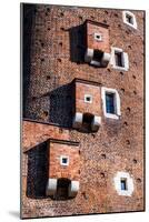 Medieval Gothic Sandomierska and Senatorska Towers at Wawel Castle in Cracow, Poland-Curioso Travel Photography-Mounted Photographic Print