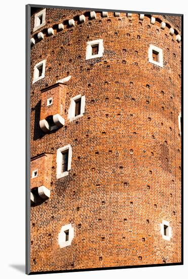 Medieval Gothic Sandomierska and Senatorska Towers at Wawel Castle in Cracow, Poland-Curioso Travel Photography-Mounted Photographic Print