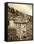 Medieval Houses, Aveyron, Conques, France-David Barnes-Framed Stretched Canvas