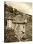 Medieval Houses, Aveyron, Conques, France-David Barnes-Stretched Canvas