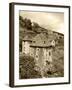 Medieval Houses, Aveyron, Conques, France-David Barnes-Framed Photographic Print