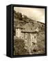 Medieval Houses, Aveyron, Conques, France-David Barnes-Framed Stretched Canvas