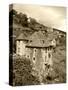 Medieval Houses, Aveyron, Conques, France-David Barnes-Stretched Canvas