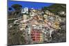 Medieval houses in steep ravine, Riomaggiore, Cinque Terre, UNESCO World Heritage Site, Italy-Eleanor Scriven-Mounted Photographic Print