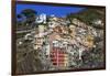 Medieval houses in steep ravine, Riomaggiore, Cinque Terre, UNESCO World Heritage Site, Italy-Eleanor Scriven-Framed Photographic Print