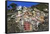 Medieval houses in steep ravine, Riomaggiore, Cinque Terre, UNESCO World Heritage Site, Italy-Eleanor Scriven-Framed Stretched Canvas