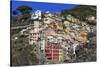 Medieval houses in steep ravine, Riomaggiore, Cinque Terre, UNESCO World Heritage Site, Italy-Eleanor Scriven-Stretched Canvas