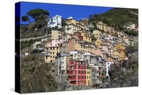 Medieval houses in steep ravine, Riomaggiore, Cinque Terre, UNESCO World Heritage Site, Italy-Eleanor Scriven-Stretched Canvas