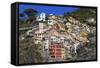 Medieval houses in steep ravine, Riomaggiore, Cinque Terre, UNESCO World Heritage Site, Italy-Eleanor Scriven-Framed Stretched Canvas
