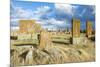 Medieval Khachkars carved memorial stele, Noratus cemetery, Sevan Lake, Gegharkunik province, Armen-G&M Therin-Weise-Mounted Photographic Print