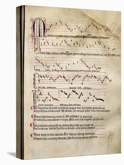 Medieval Music from Aquitaine to Be Danced in a Church-null-Stretched Canvas