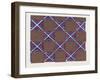 Medieval Ornament-null-Framed Giclee Print