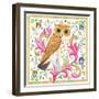 Medieval Owl-Isabelle Brent-Framed Photographic Print