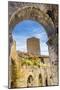 Medieval stone arch and tower, San Gimignano, Tuscany, Italy.-William Perry-Mounted Photographic Print