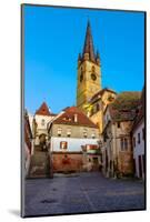 Medieval Street in Sibiu, Transylvania, Romania-David Ionut-Mounted Photographic Print