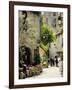 Medieval Street in Walled and Turreted Fortress of La Cite, Carcassonne, UNESCO World Heritge Site-Peter Richardson-Framed Photographic Print