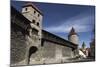 Medieval Towers and City Walls in the Old Town of Tallinn, Estonia, Europe-Stuart Forster-Mounted Photographic Print