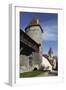 Medieval Towers and City Walls in the Old Town of Tallinn, Estonia, Europe-Stuart Forster-Framed Photographic Print