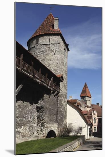 Medieval Towers and City Walls in the Old Town of Tallinn, Estonia, Europe-Stuart Forster-Mounted Photographic Print