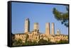 Medieval Towers Lit by the Rising Sun, San Gimignano, Siena, Tuscany, Italy, Europe-Ruth Tomlinson-Framed Stretched Canvas