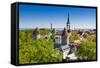 Medieval Town Walls and Spire of St. Olav's Church, Toompea Hill, Estonia, Baltic States, Europe-Nico Tondini-Framed Stretched Canvas
