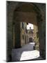Medieval Village Turret, Gangonza, Tuscany, Italy-Marilyn Parver-Mounted Photographic Print