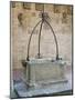 Medieval Well, Palazzo Dei Vicari, Scarperia, Florence, Tuscany, Italy, Europe-Nico Tondini-Mounted Photographic Print