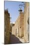 Medina (Old Town), Tozeur-Natalie Tepper-Mounted Photo