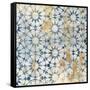 Medina Tile 2-Devon Ross-Framed Stretched Canvas