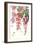 Medinilla-Janneke Brinkman-Salentijn-Framed Giclee Print