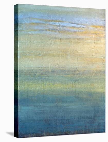 Meditation 5-Jeannie Sellmer-Stretched Canvas