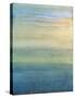 Meditation 5-Jeannie Sellmer-Stretched Canvas
