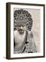 Meditation Mehndi-Fusion Idol Arts-Framed Giclee Print